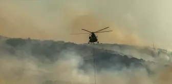 Uşak'ta Tarım Arazisinde Yangın