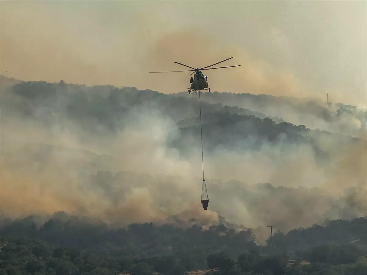 Uşak'ta Tarım Arazisinde Yangın