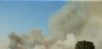 Uşak'ta Tarım Arazisinde Başlayan Yangın Ormanlık Alana Sıçradı
