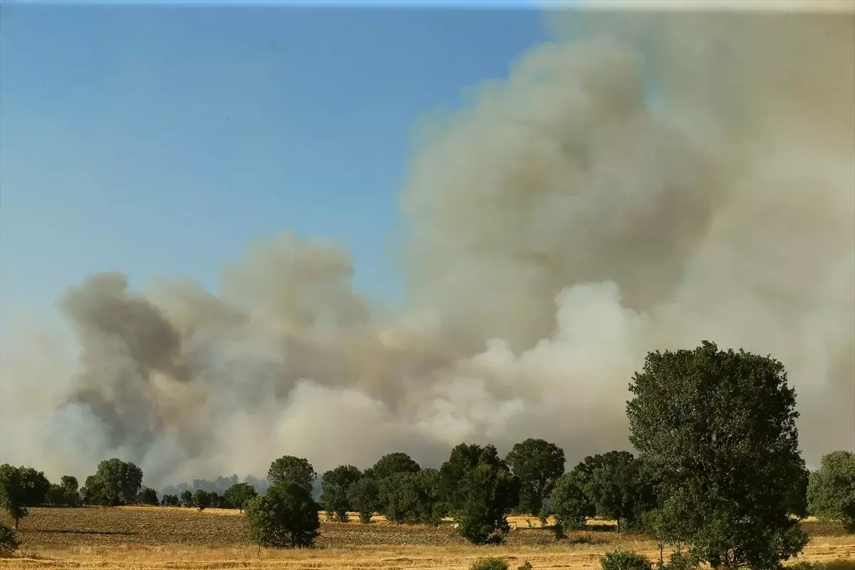 Uşak'ta Tarım Arazisinde Başlayan Yangın Ormanlık Alana Sıçradı