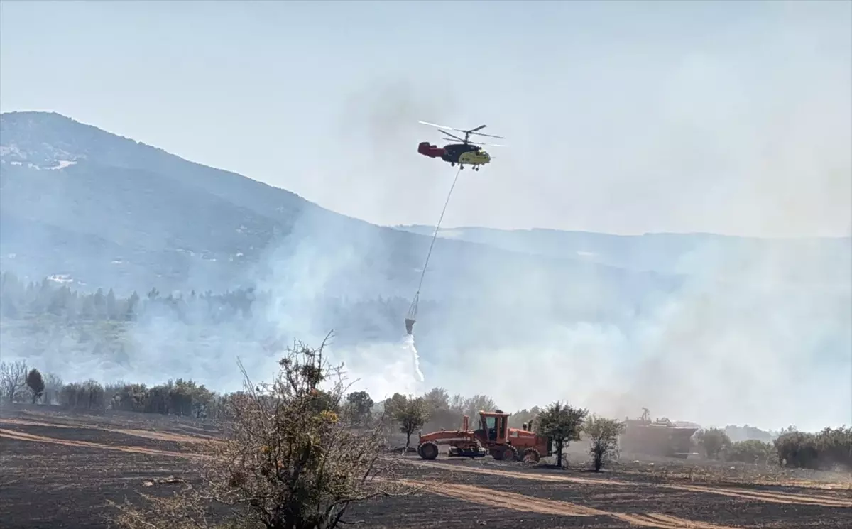 Uşak'ta Arpa Tarlasında Yangın Çıktı