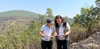 Uşak'ta Orman Yangınından Etkilenen Bölgeler Yeniden Yeşillendiriliyor