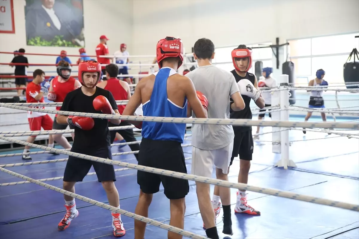 Minik Erkek Boks Milli Takımı Avrupa Şampiyonası İçin Kastamonu'da Kamp Yapıyor