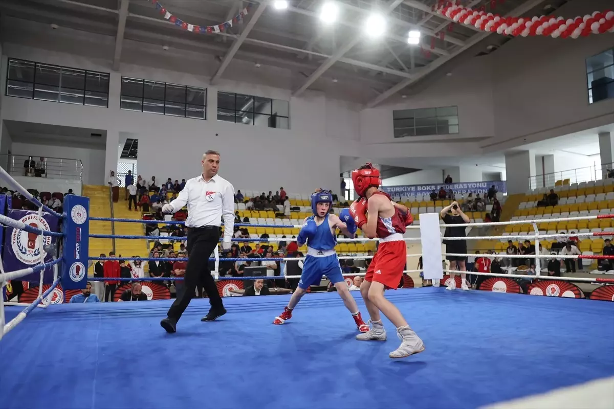 Bayburt'ta Üst Minik Erkekler ve Kadınlar Türkiye Ferdi Boks Şampiyonası Devam Ediyor