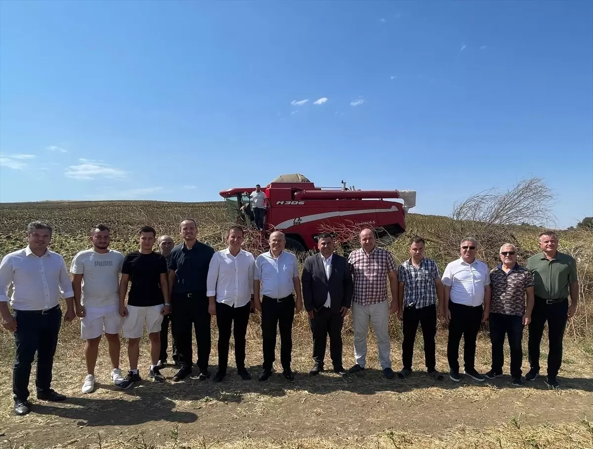 Uzunköprü Kaymakamı Ayçiçeği Hasadına Katıldı