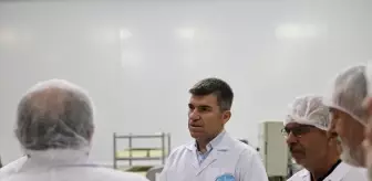 Amasya'da Süt Ürünleri Fabrikası Ziyareti