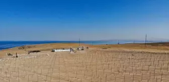 Van'da 1,2 Milyar Liralık Güneş Enerjisi Santrali Kuruluyor