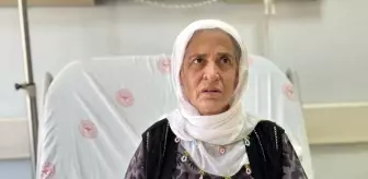 Van'da 2 Kilogramlık Timoma Ameliyatla Çıkarıldı