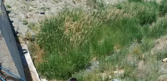 Van'da Otomobil Kazası: 5 Yaralı