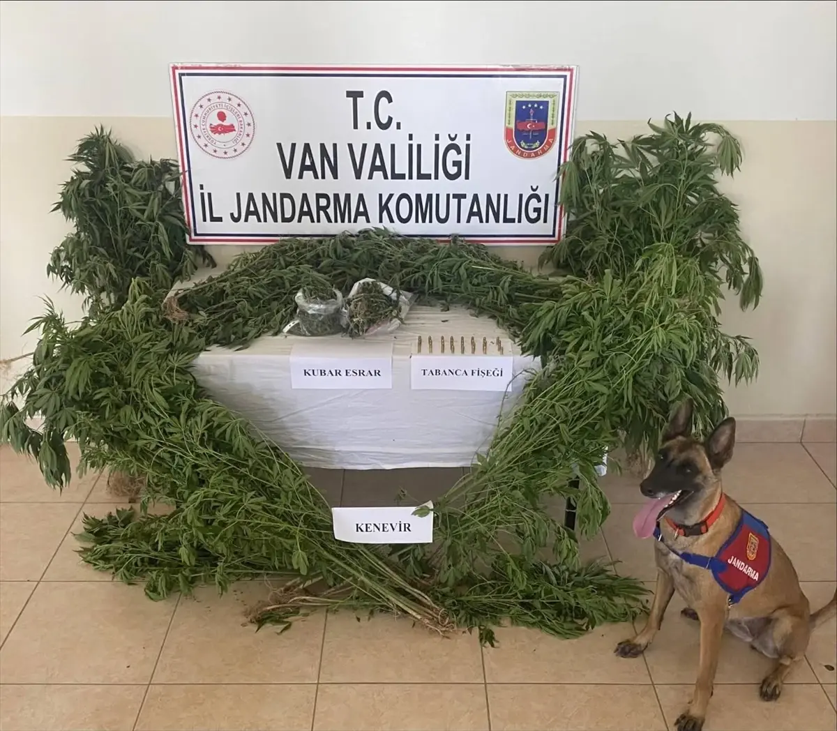 Van'da 127 Kök Kenevir ve Esrar Ele Geçirildi