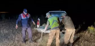 Van'da Kaçak Avlanan 1.5 Ton İncik Kefali Suya Bırakıldı