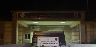 Van'da Kaçak Avlanmaya Geçit Yok: 2 Ton İinci Kefali Ele Ge geçirildi