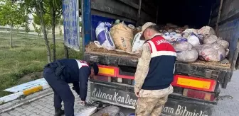 Van'da Kaçak Avlanan 19 Ton İnci Kefali Ele Geçirildi