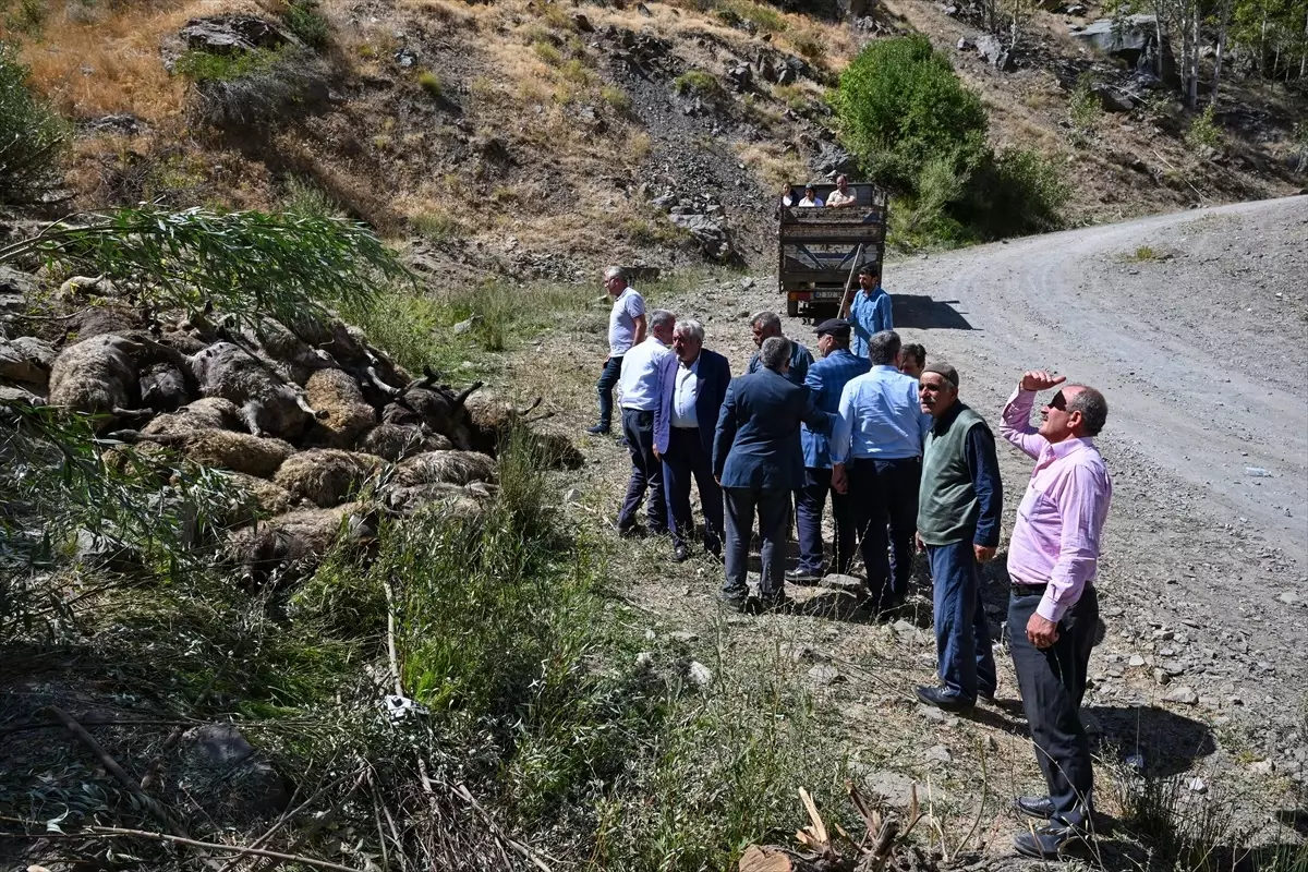 Van'da Kayalık Alandan Düşen Küçükbaş Hayvanlar Telef Oldu