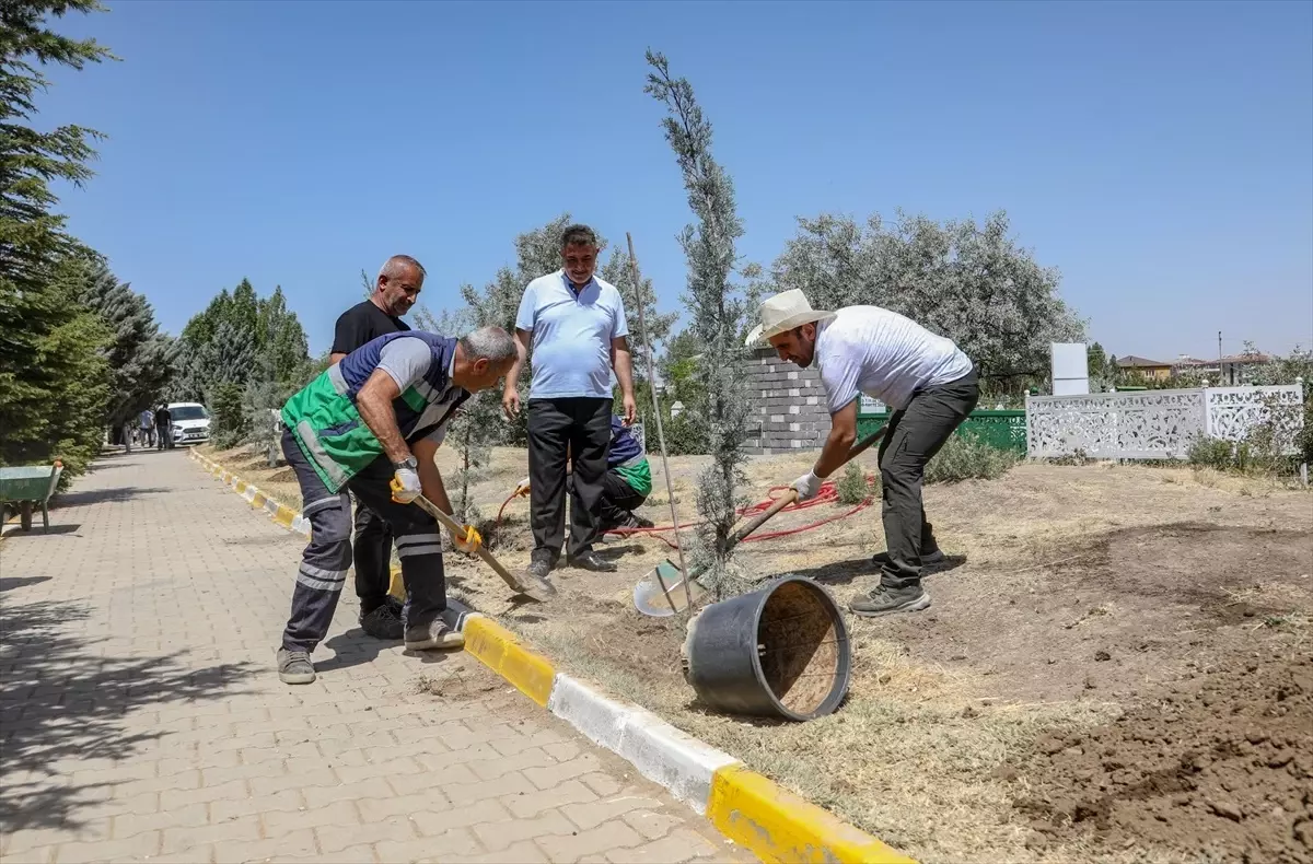 Van'da Mezarlıklara Yeşillendirme ve Peyzaj Çalışması