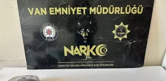 Van'da Uyuşturucu Operasyonu: 29 Şüpheli Gözaltında