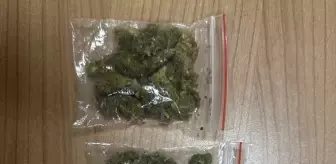 Van'da Uyuşturucu Operasyonu: 34 Gözaltı