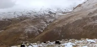 Başka'da Kar Yağışı