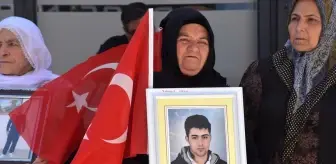 Vanlı aileler, DEM Parti İl Başkanlığı önündeki eylemlerini sürdürdü