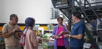 Gülsima Sarı, Kuruyemiş Fabrikasıyla 50 Kişiye İş İmkanı Sağladı