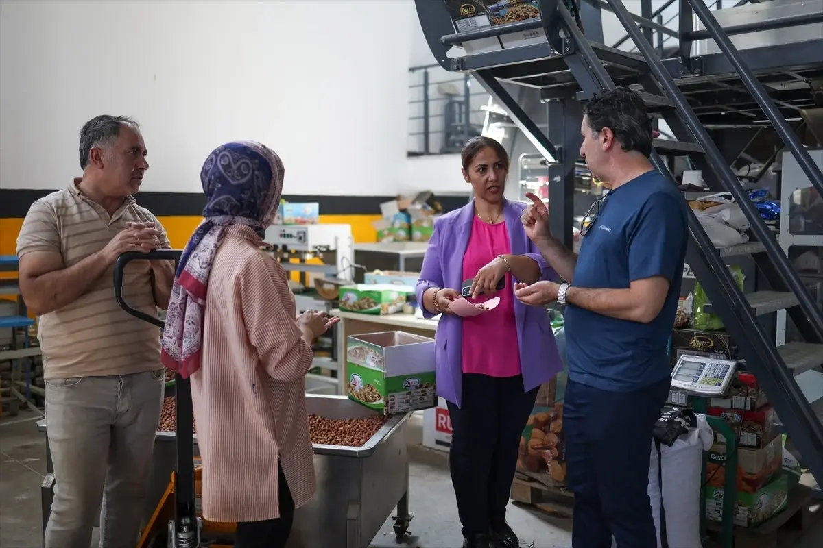 Gülsima Sarı, Kuruyemiş Fabrikasıyla 50 Kişiye İş İmkanı Sağladı