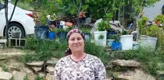 Zeynep Yılmaz, Eşinin Yerine Mahalle Muhtarı Oldu