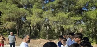 Vezirköprü'de Çocuk Mahalle Şenliği Coşkuyla Gerçekleşti