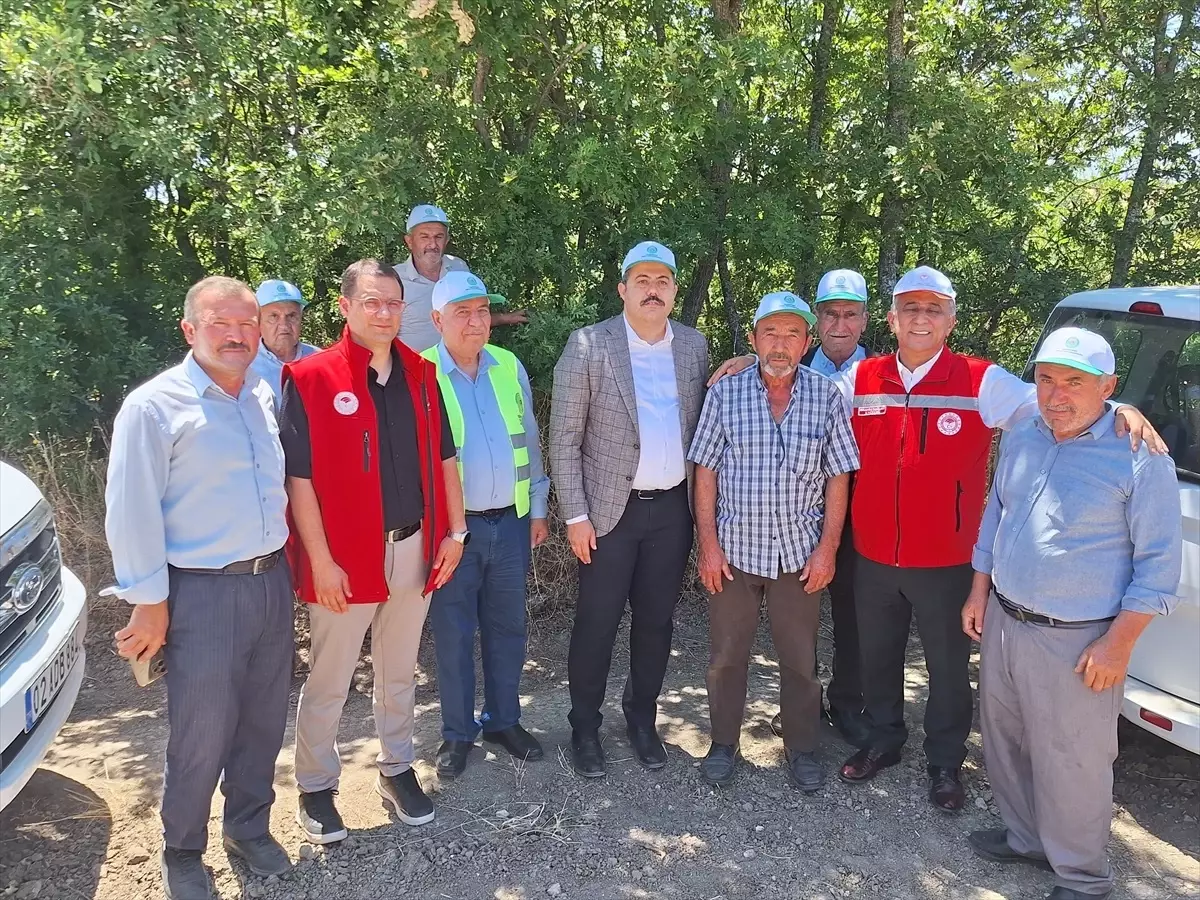 Samsun'da Kanola Hasadı Başladı
