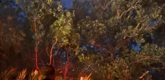 Vize'de Otluk Alanda Yangın Çıktı