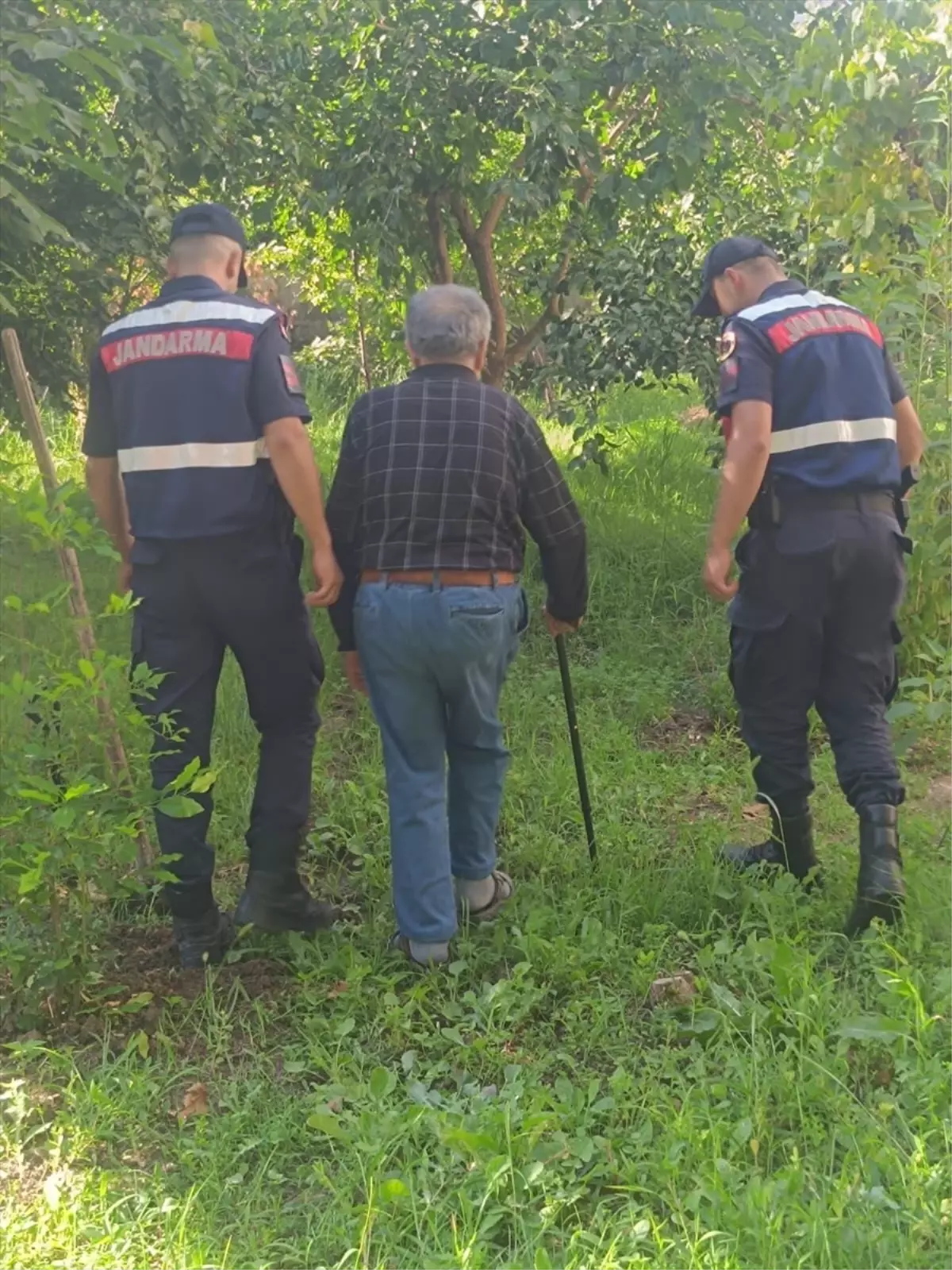 Yalova'da Kayıp Alzheimer Hastası Ormanlık Alanda Bulundu