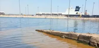 Yalova'da Denize Atık Yağ Döküldü, İnceleme Başlatıldı