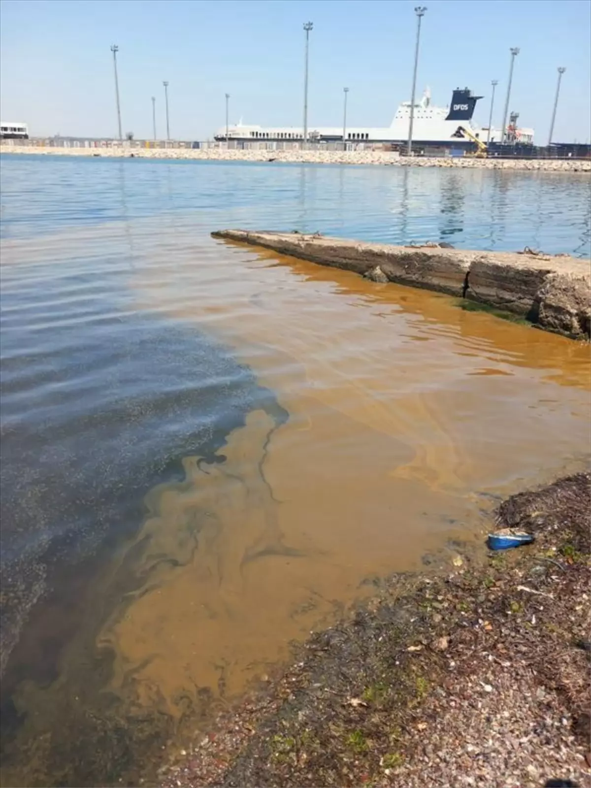 Yalova'da Denize Atık Yağ Döküldü, İnceleme Başlatıldı