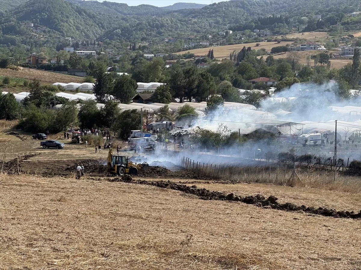 Yalova'da Arazi Yangınları Kontrol Altına Alındı