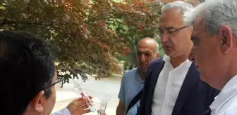 Yalova'da Kahverengi Kokarca ile Mücadelede 10 Bin Samuray Arısı Doğaya Salındı