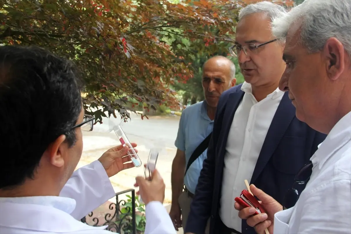Yalova'da Kahverengi Kokarca ile Mücadelede 10 Bin Samuray Arısı Doğaya Salındı