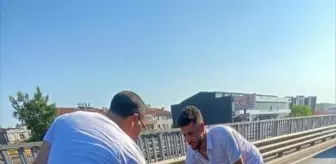 Yalova'da Motosiklet Kazası: Genç Sürücü Hayatını Kaybetti