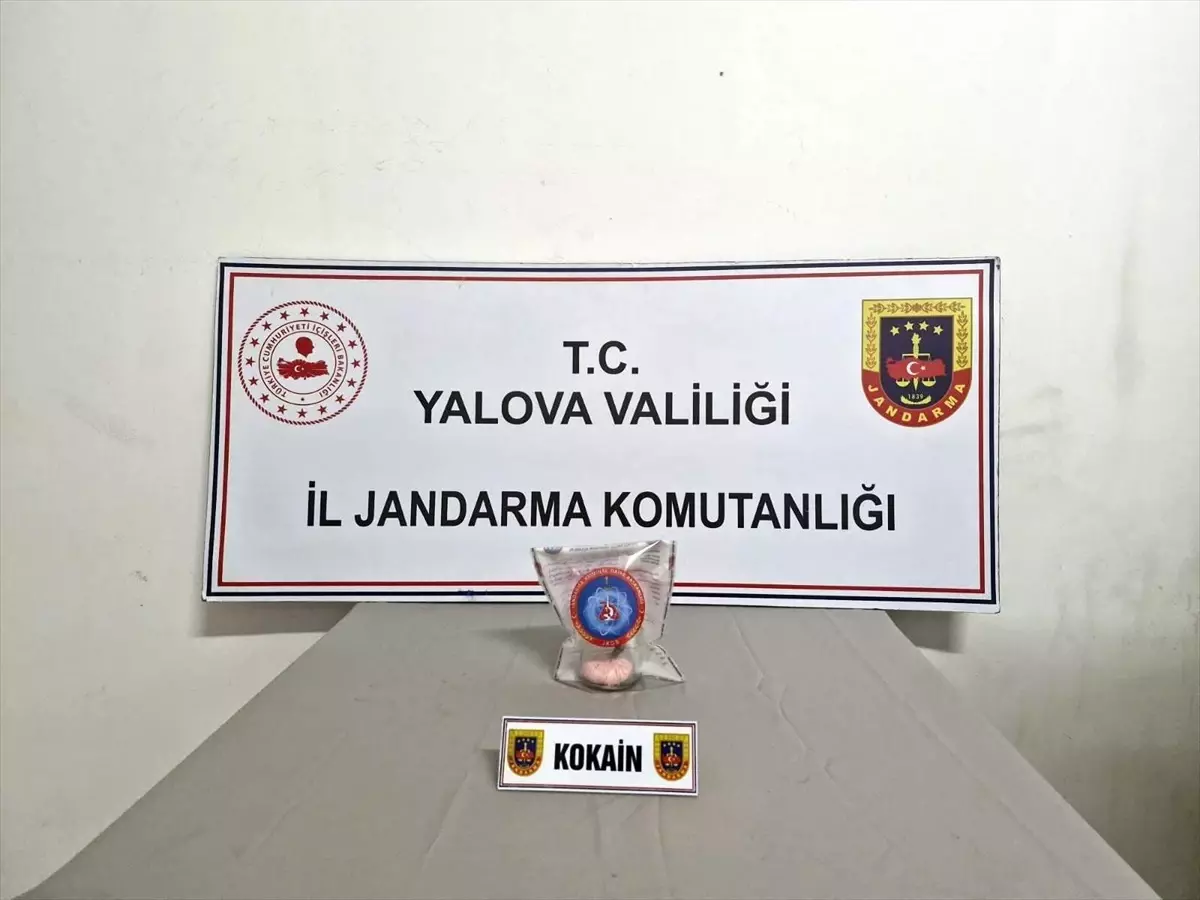 Yalova'da Uyuşturucu Operasyonu: 2 Şüpheli Tutuklandı