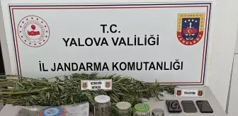 Yalova'da Uyuşturucu Operasyonu: 3 Gözaltı