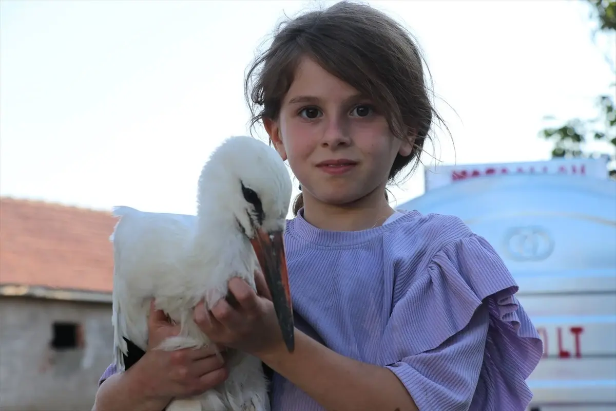 Saray Köyü'nde Yavru Leyleğe Özenle Bakılıyor