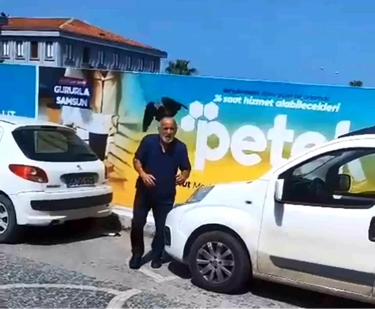 Yaşlı Adam Kargaların Saldırısına Uğradı