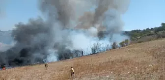 Hatay'da Makilik Alanlarda Yangın