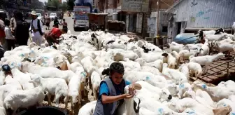 Yemen'de Kurban Bayramı Sevinci Yerini Kaygıya Bıraktı
