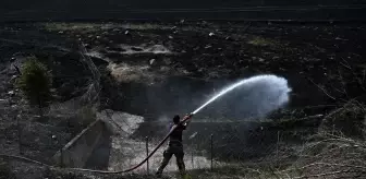 Ankara'da Ekili Arazide Yangın Çıktı