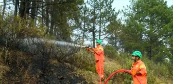 Denizli'de Gönüllü Turuncu Timler Yangınla Mücadelede Öncü Rol Üstleniyor