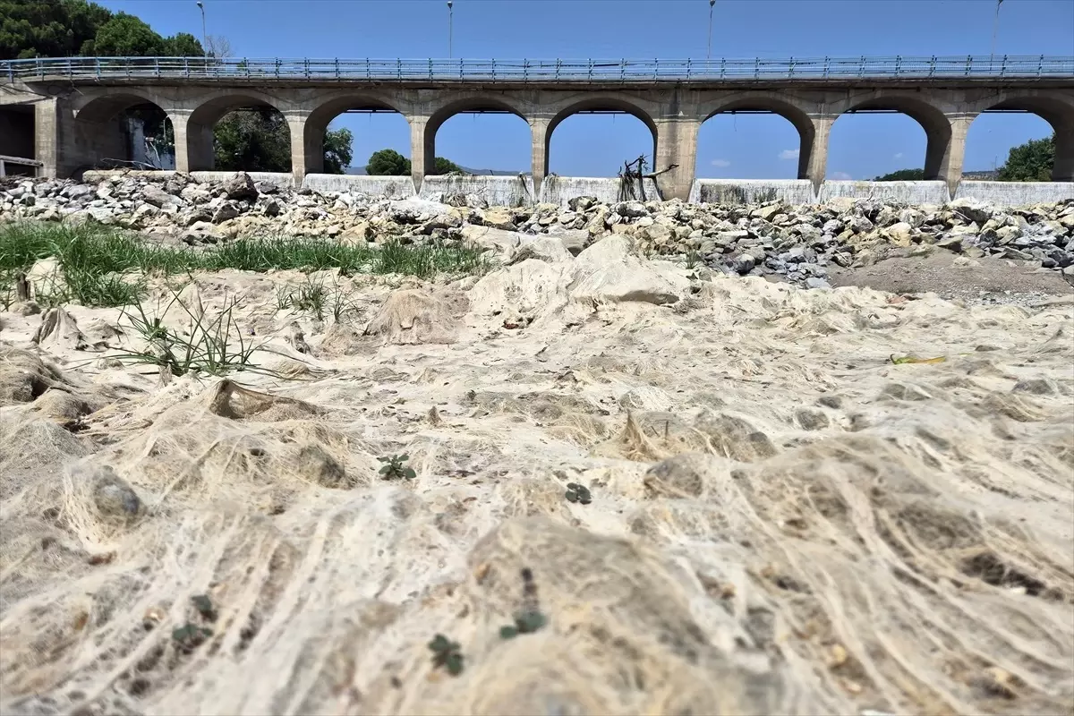 Gediz Nehri'nde Kuraklık Tehlikesi: Baraj Su Seviyeleri Kritik Durumda