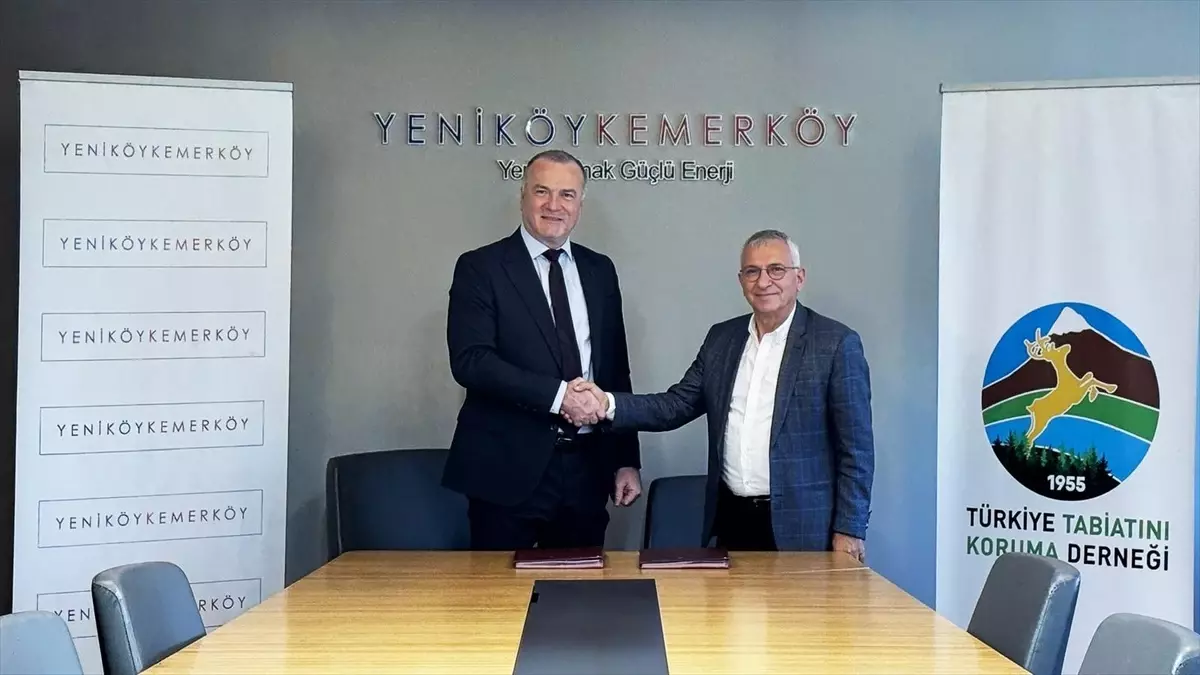 Zeytin Ağaçlarının Taşınma Süreci İçin İzleme Protokolü İmzalandı