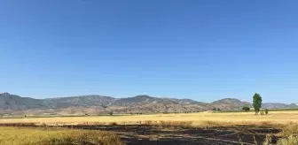 Yozgat'ta Tarlada Yangın: 20 Dönüm Ekili Alan Zarar Gördü