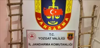 Yozgat'ta İzinsiz Kazı Yapan 4 Zanlı Gözaltına Alındı