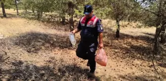 Yozgat'ta Jandarma Ekipleri Yangınlara Karşı Önlem Alıyor