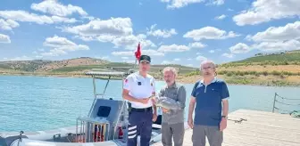 Yozgat'ta Yaralı Gri Balıkçıl Kuşu Tedavi Altına Alındı
